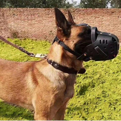 Muselière Chien / Fidgy - Mon Chien Charlie
