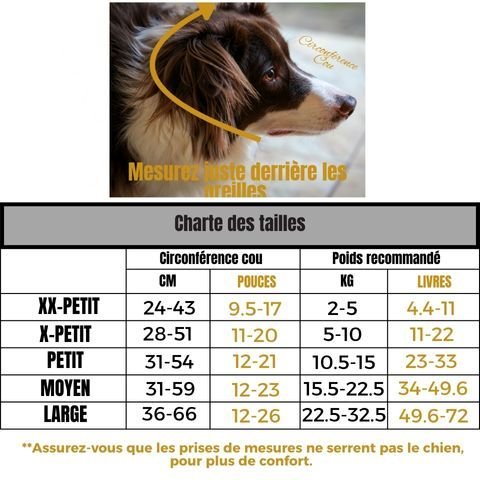 Muselière Chien / Ivy - Mon Chien Charlie
