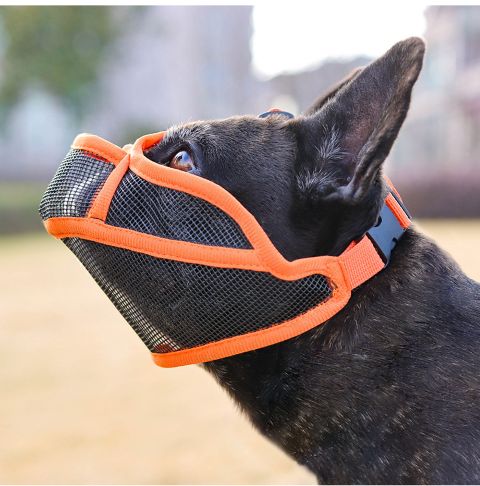 Muselière Chien / Ivy - Mon Chien Charlie