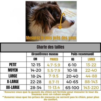 Muselière Chien / Jackson - Mon Chien Charlie