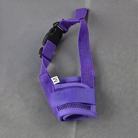 Muselière Chien / Jackson - variante mauve