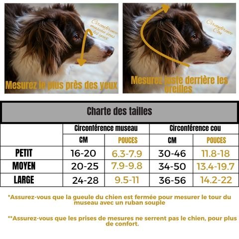 Muselière Chien / Keira - Mon Chien Charlie