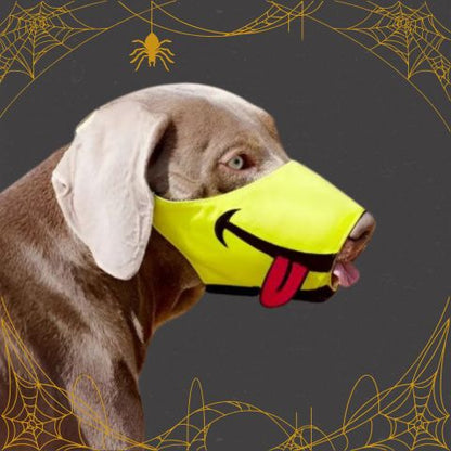 Muselière Chien / Loulou - Mon Chien Charlie