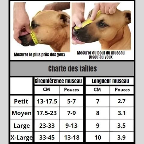 Muselière Chien / Loulou - Mon chien Charlie