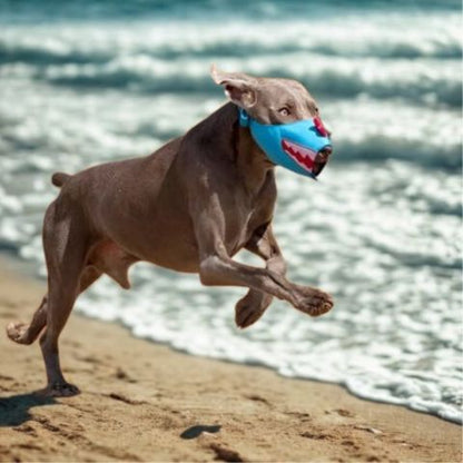 Muselière Chien / Loulou - Mon Chien Charlie