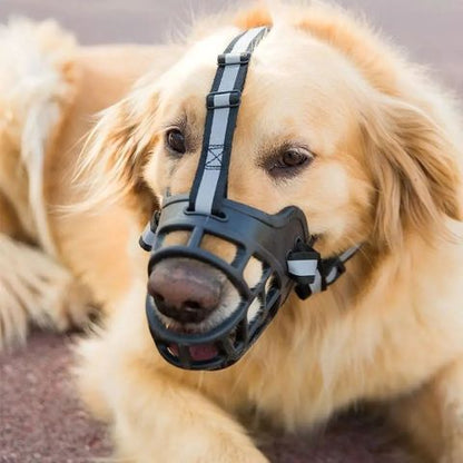 Muselière Chien / Madox - Mon Chien Charlie