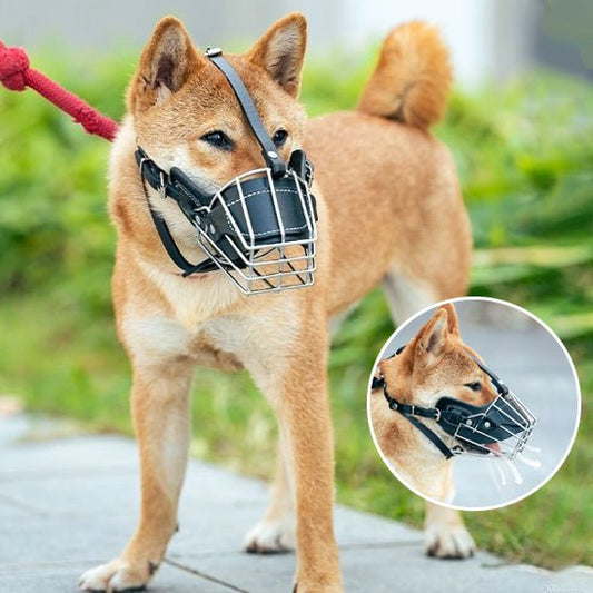 Muselière pour chien Maxy, chien marron portant une muselière métallique lors d’une promenade.