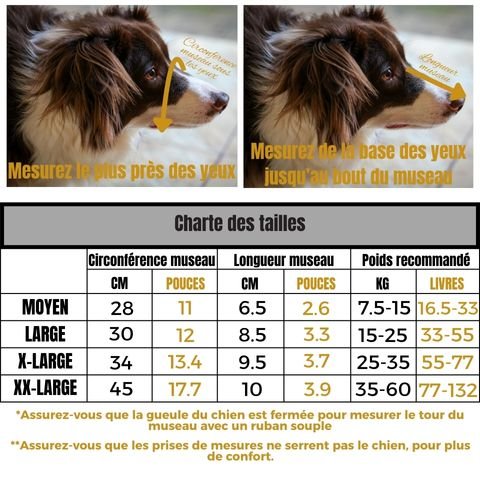 Muselière Chien / Maxy - Mon Chien Charlie