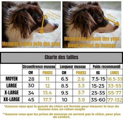 Muselière Chien / Maxy - Mon Chien Charlie