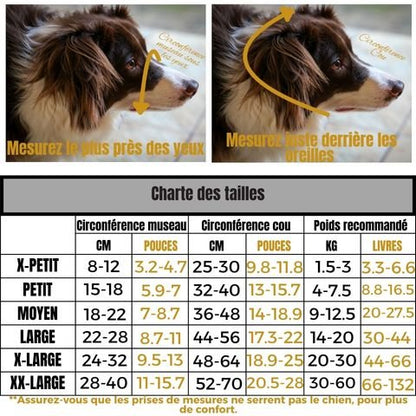 Muselière Chien / Pacane - Mon Chien Charlie