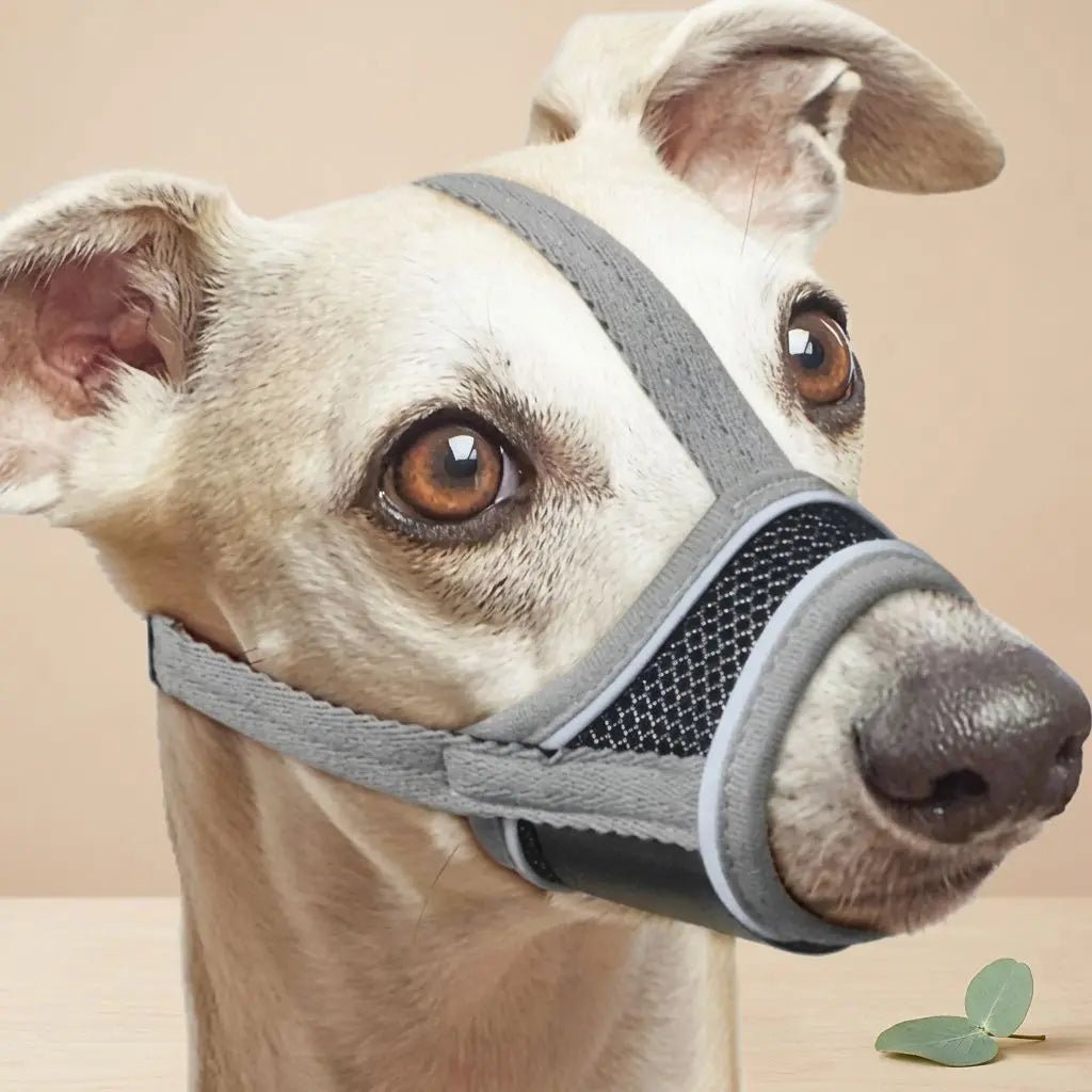 Masque pour chien Muselière Chien / Pacane: chien portant une muselière grise avec mesh, vue de profil