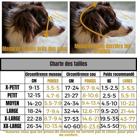 Muselière Chien / Tigars - Mon Chien Charlie