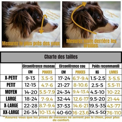 Muselière Chien / Tigars - Mon Chien Charlie