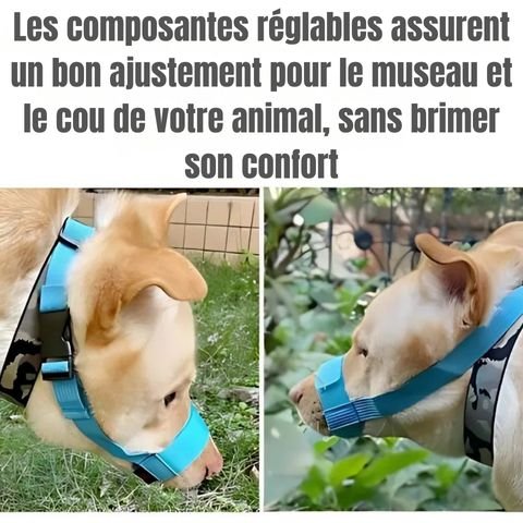 Muselière Chien / Tigars - Mon Chien Charlie
