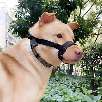 Muselière Chien / Tigars - Mon Chien Charlie