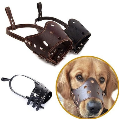 Muselière Chien / Tiloup - Mon Chien Charlie