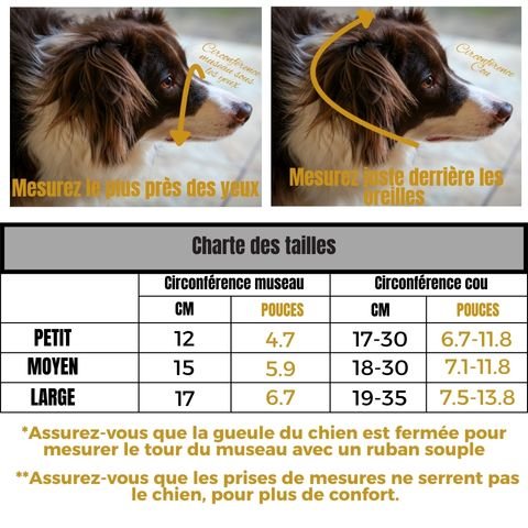 Muselière Chien / Tinour - charte tailles