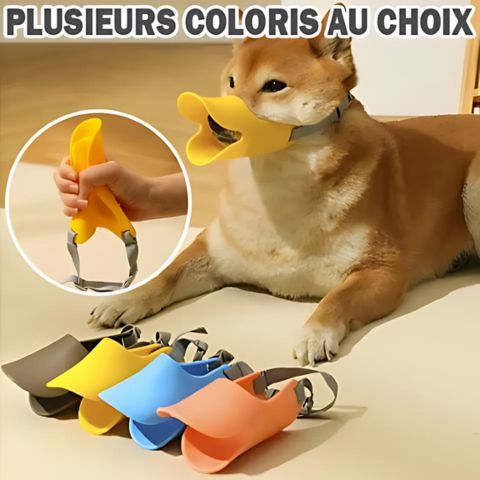 Muselière Chien / Tinour - Mon chien Charlie