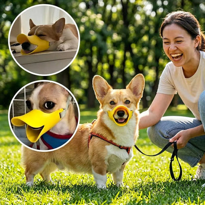 Muselière pour chien Tinour: chien corgi avec museau jaune, promenades dans le parc, femme souriante à côté.