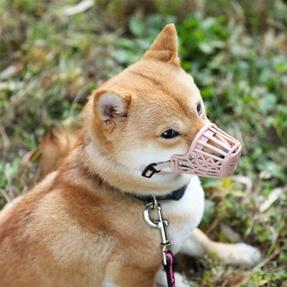 Muselière Chien / Westcott - Mon Chien Charlie