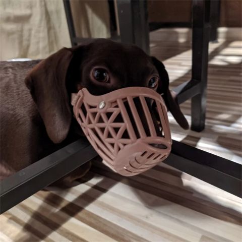 Muselière Chien / Westcott - Mon Chien Charlie