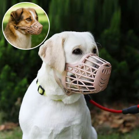 Muselière Chien / Westcott - Mon Chien Charlie