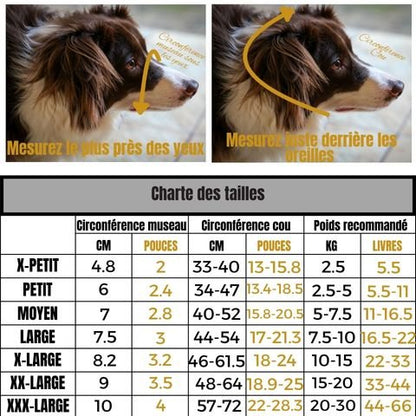 Muselière Chien / Westcott - Mon Chien Charlie