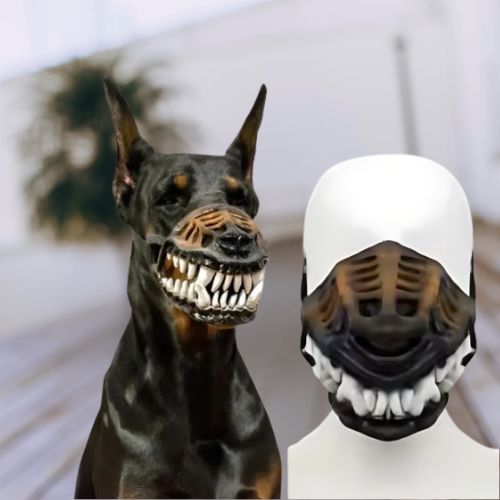 Muselière Halloween / Médor - Mon Chien Charlie