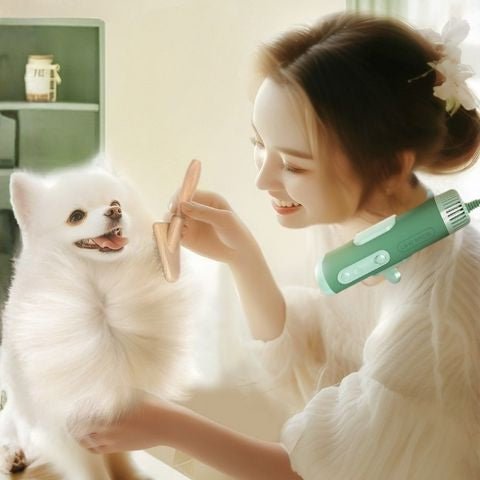 Pulseur Chien / Séchoir Marley - Mon Chien Charlie