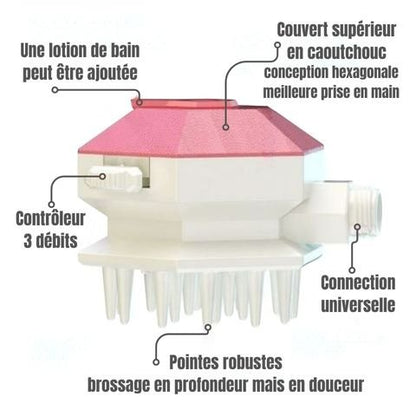 Toilettage Chien / La Douchette Boss - Mon Chien Charlie