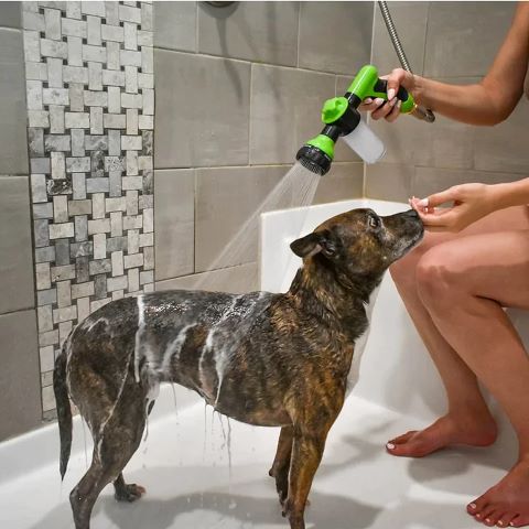 Toilettage Chien / La Douchette Charlie - Mon Chien Charlie