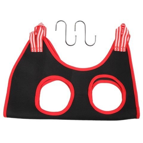 Toilettage Chien / Le Hamac Jackson - Mon Chien Charlie