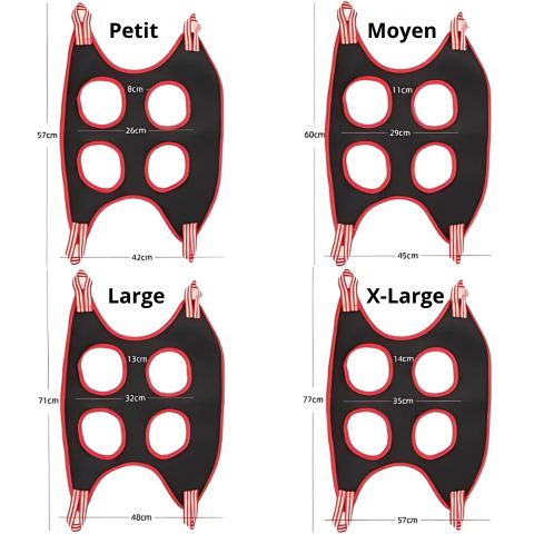 Toilettage Chien / Le Hamac Jackson - Mon Chien Charlie
