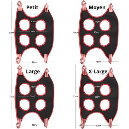 Toilettage Chien / Le Hamac Jackson - Mon Chien Charlie