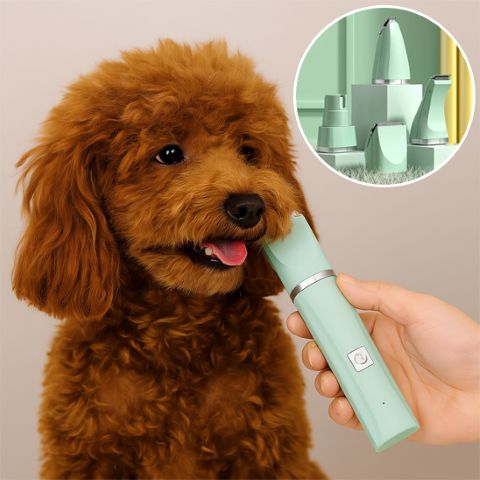 Tondeuse Chien / Capi - Mon Chien Charlie