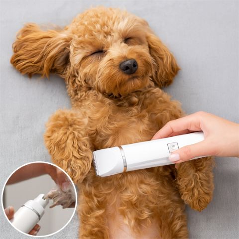 Tondeuse Chien / Capi - Mon Chien Charlie