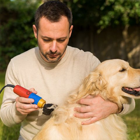 Tondeuse Chien / Poppy - Mon Chien Charlie