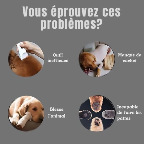 Tondeuse Chien / Rosco - Mon Chien Charlie