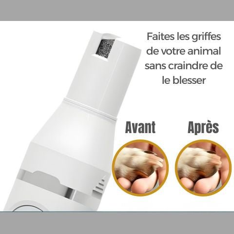 Tondeuse Chien / Rosco - Mon Chien Charlie