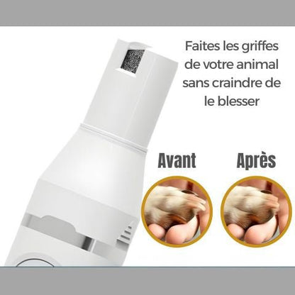 Tondeuse Chien / Rosco - Mon Chien Charlie