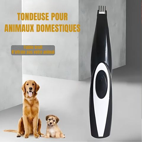 Tondeuse Patte Chien / Marley - Mon Chien Charlie