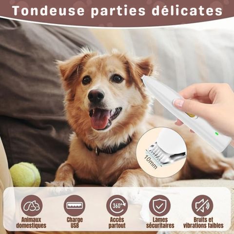 Tondeuse Patte Chien / Tiloup - Mon Chien Charlie